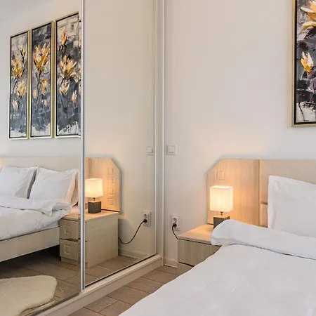 Rentforcomfort Dynamic * Brasov